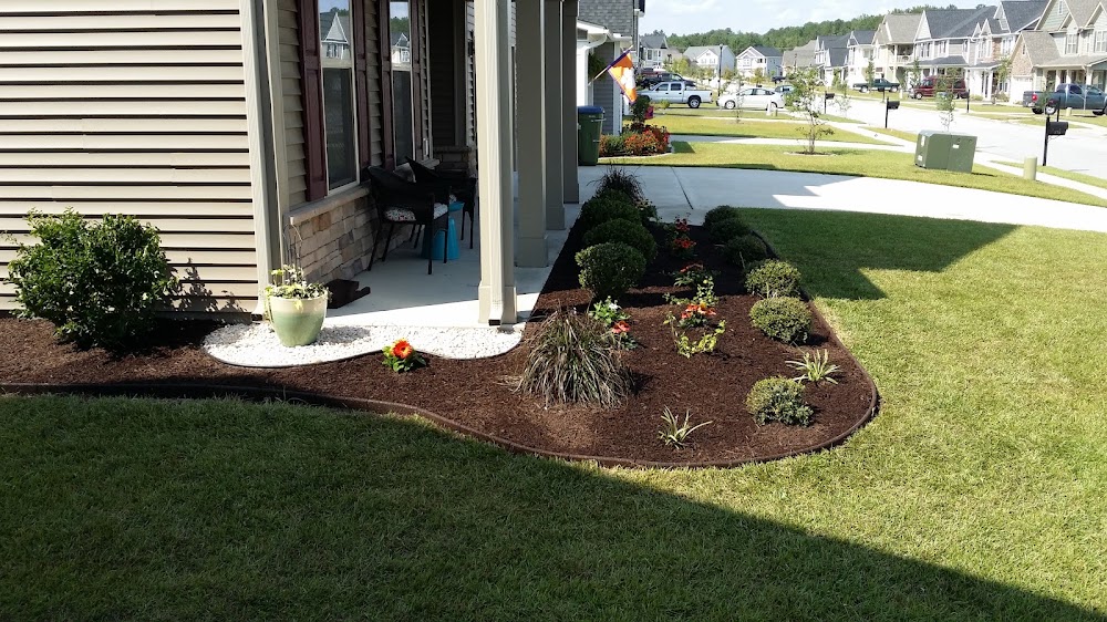 Hedgehog Landscaping