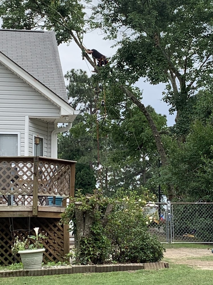 Climbing Carolina LLC Tree Service