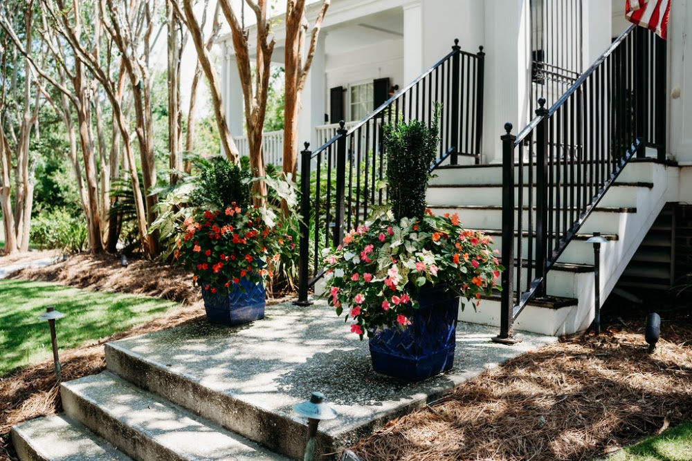 Interior Plantscapes