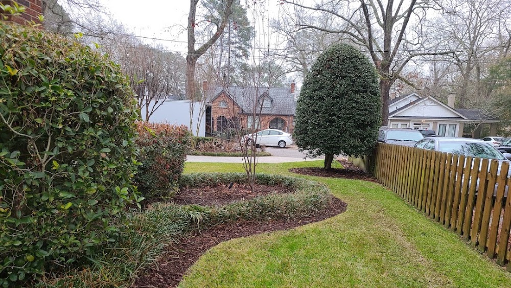Taddeo's Landscaping