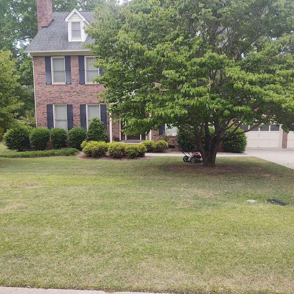 Tylers lawn service